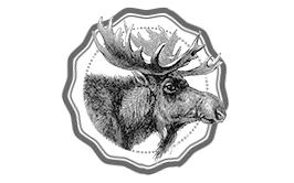 Moose hunt