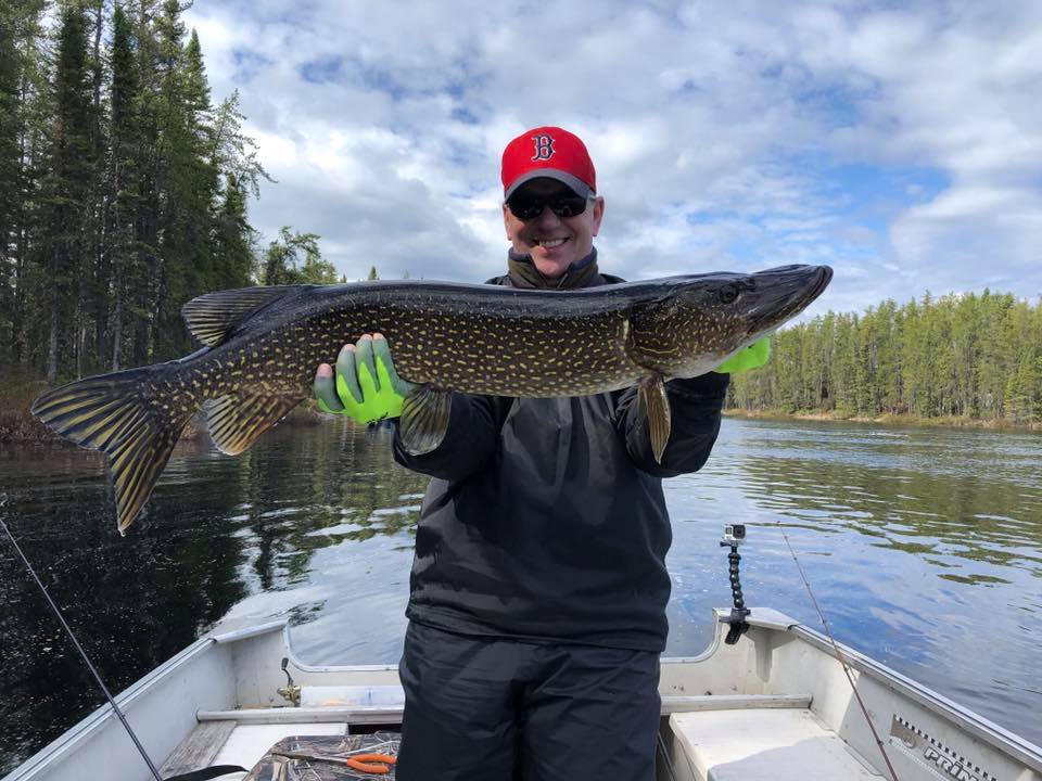 May is always good for big Northern Pikes at Mattawa Bay, Gouin Reservoir, 2019
