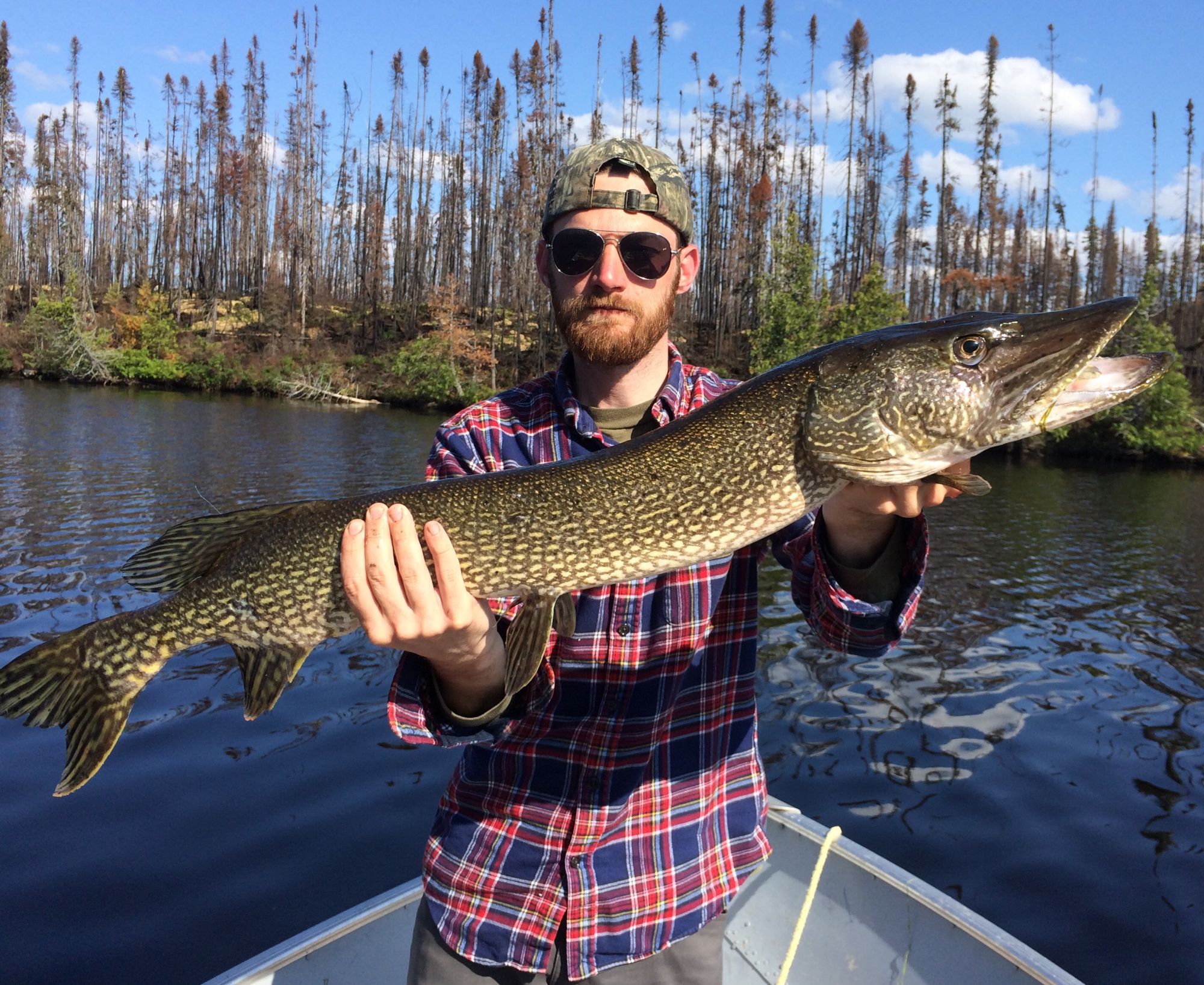 September is perfect for northern pike fishing - Sept. 2019