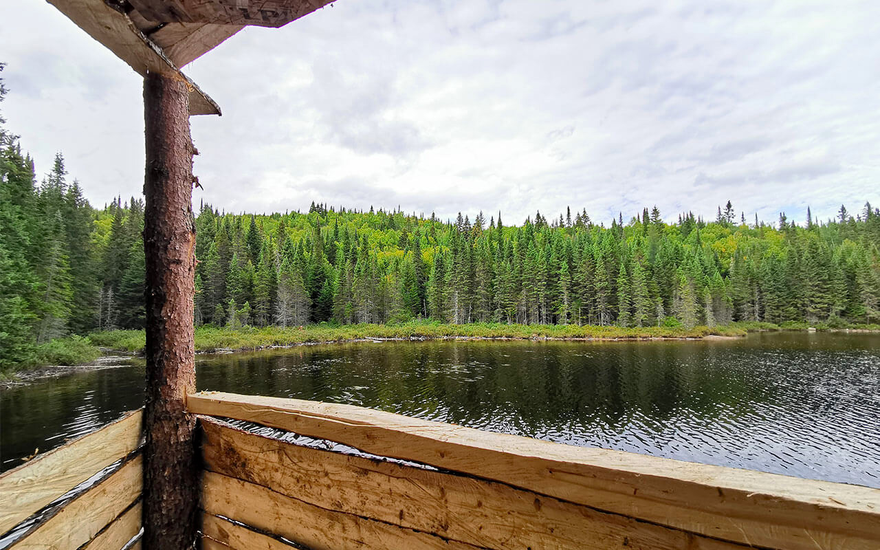 air-tamarac_pourvoirie-canadienne-de-chasse-peche-taxi-aerien_chasse-lac-sauterelle_reglements-de-chasse